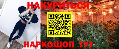 сатива Пушкино