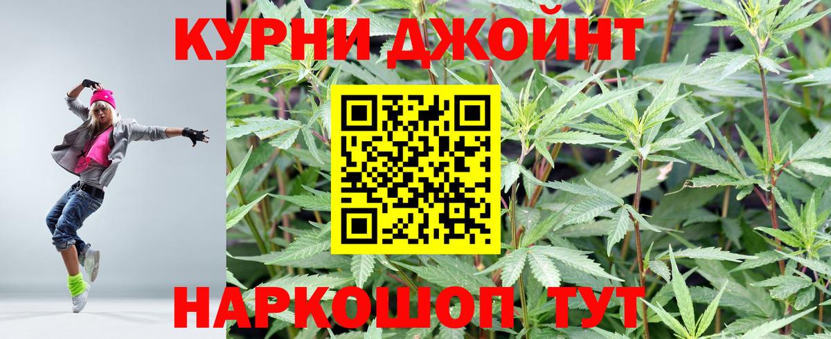 Бошки Шишки планчик Саров
